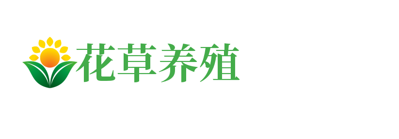 太原市晋源区杨建冬百货经销部